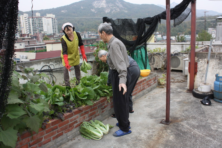 작업치료